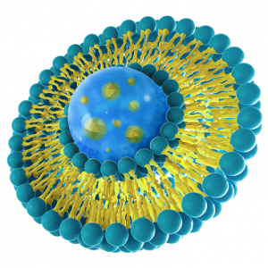 liposomal collagen komplex