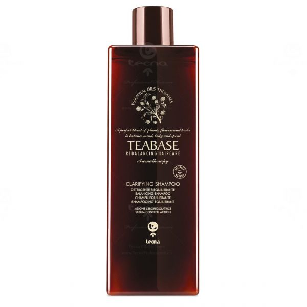 TECNA722C-teabase-clarifying-shampoo-seboregolatore-500ml