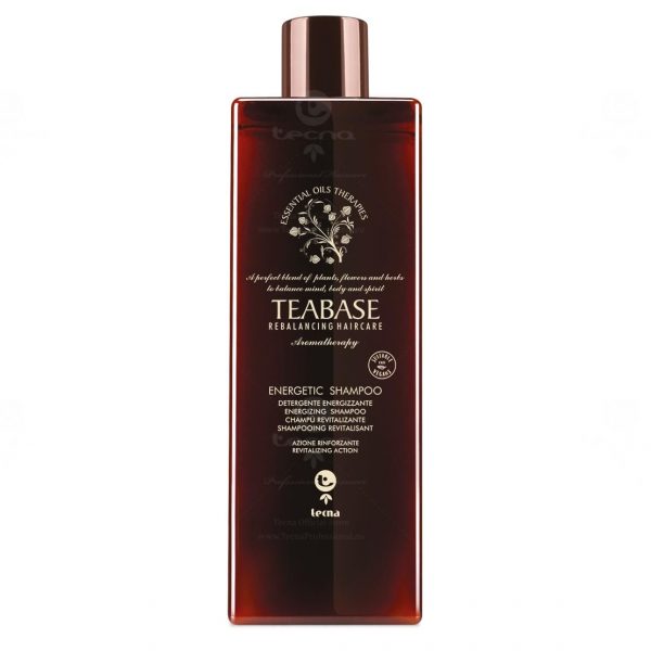 TECNA742C-teabase-energetic-shampoo-per-capelli-fini-500ml