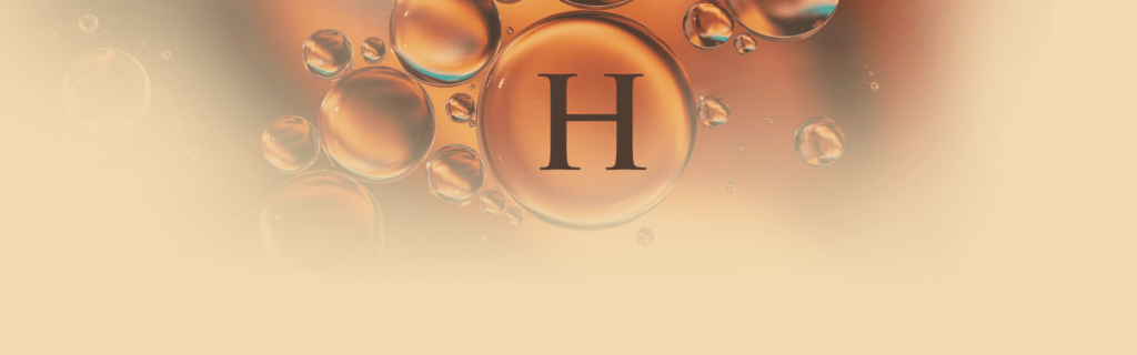 hydracore-blog-8-belega