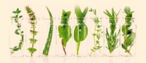 Produktová rada TEABASE 3 ayurveda 1