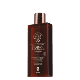Produktová rada TEABASE 11 purifying 250